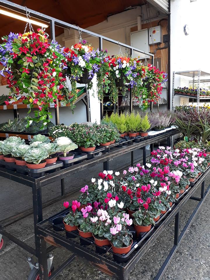 flower stalls